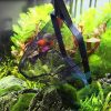 Aquarium Fish Net Premium ABS Material High Quality Floating 3D Design - Image 9