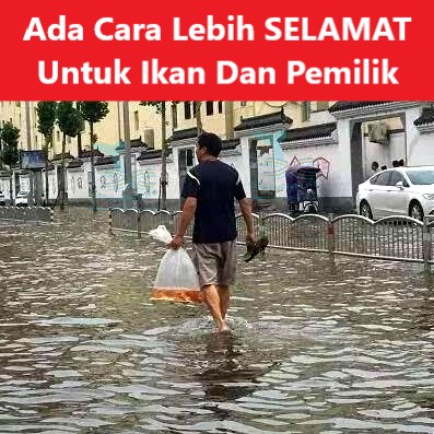 Live Fish Transportation Fishing Bag Waterproof Heavy Duty Scratch proof Flood Fishing Camping Beg Pengangkutan Ikan - Image 2