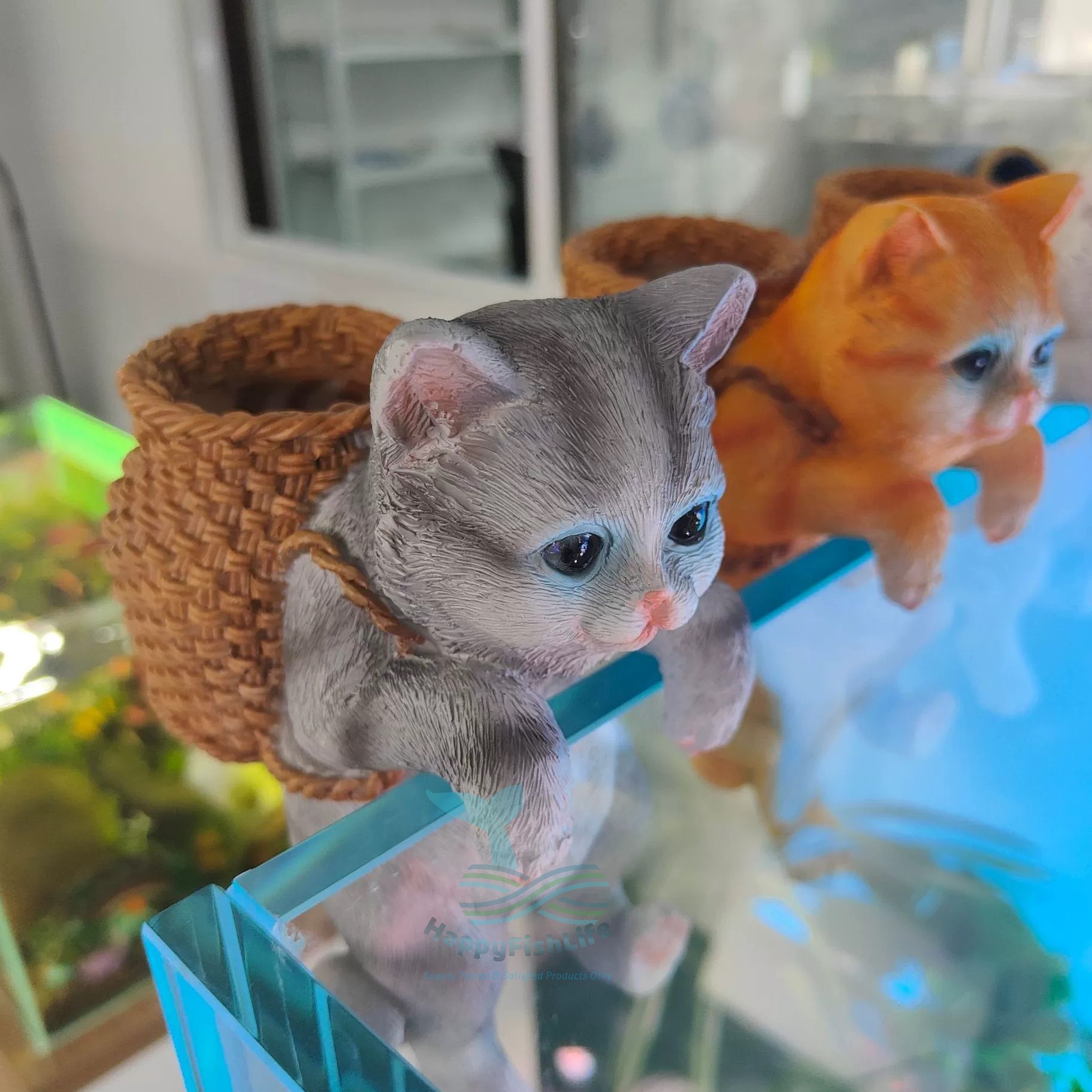 Aquarium Wall Hanger Decoration Cute Cat Dog Rabbit Koala with back pack Shark Warning Signboard