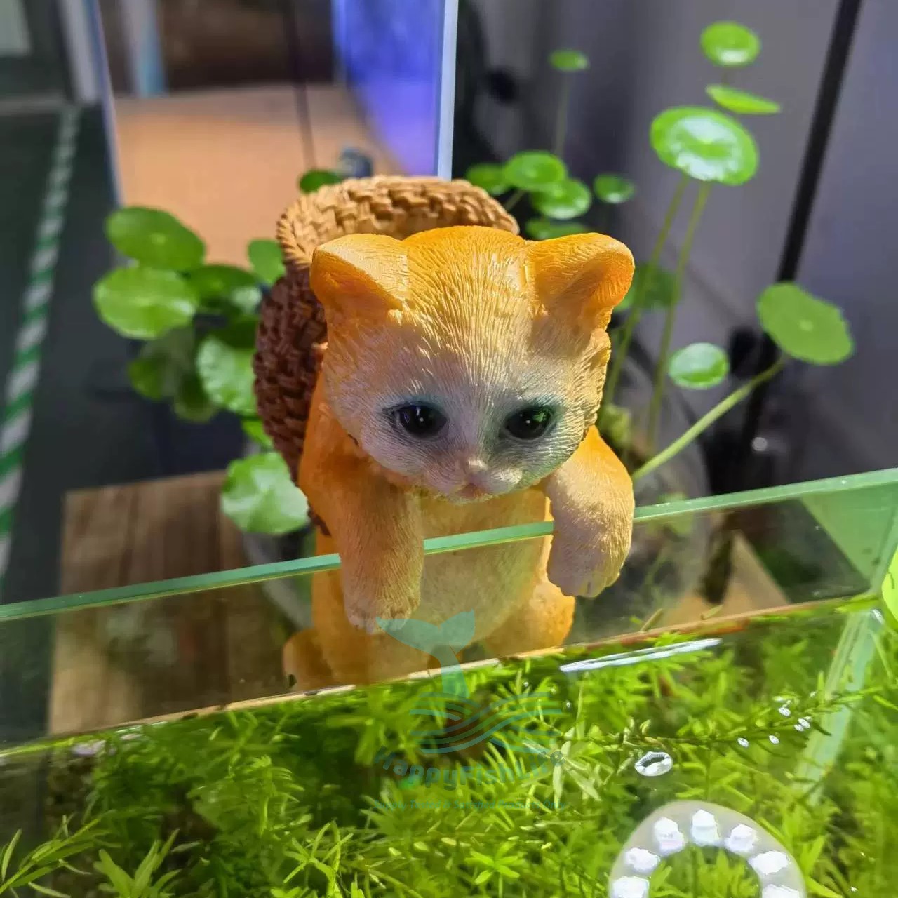 Aquarium Wall Hanger Decoration Cute Cat Dog Rabbit Koala with back pack Shark Warning Signboard - Image 6