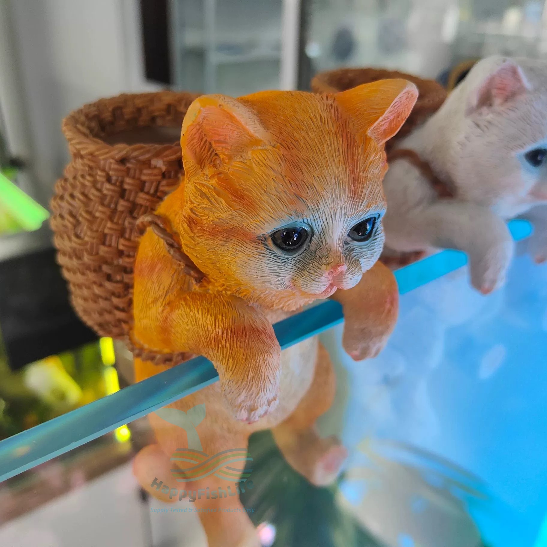 Aquarium Wall Hanger Decoration Cute Cat Dog Rabbit Koala with back pack Shark Warning Signboard - Image 7