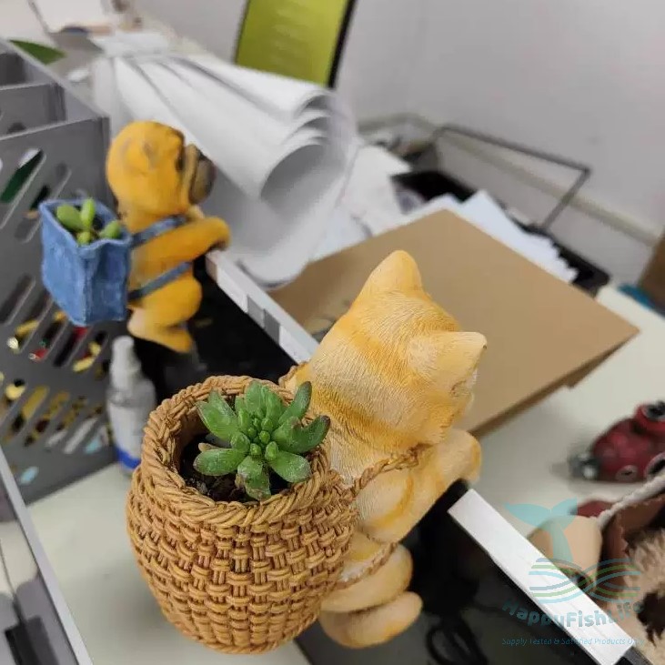 Aquarium Wall Hanger Decoration Cute Cat Dog Rabbit Koala with back pack Shark Warning Signboard - Image 8