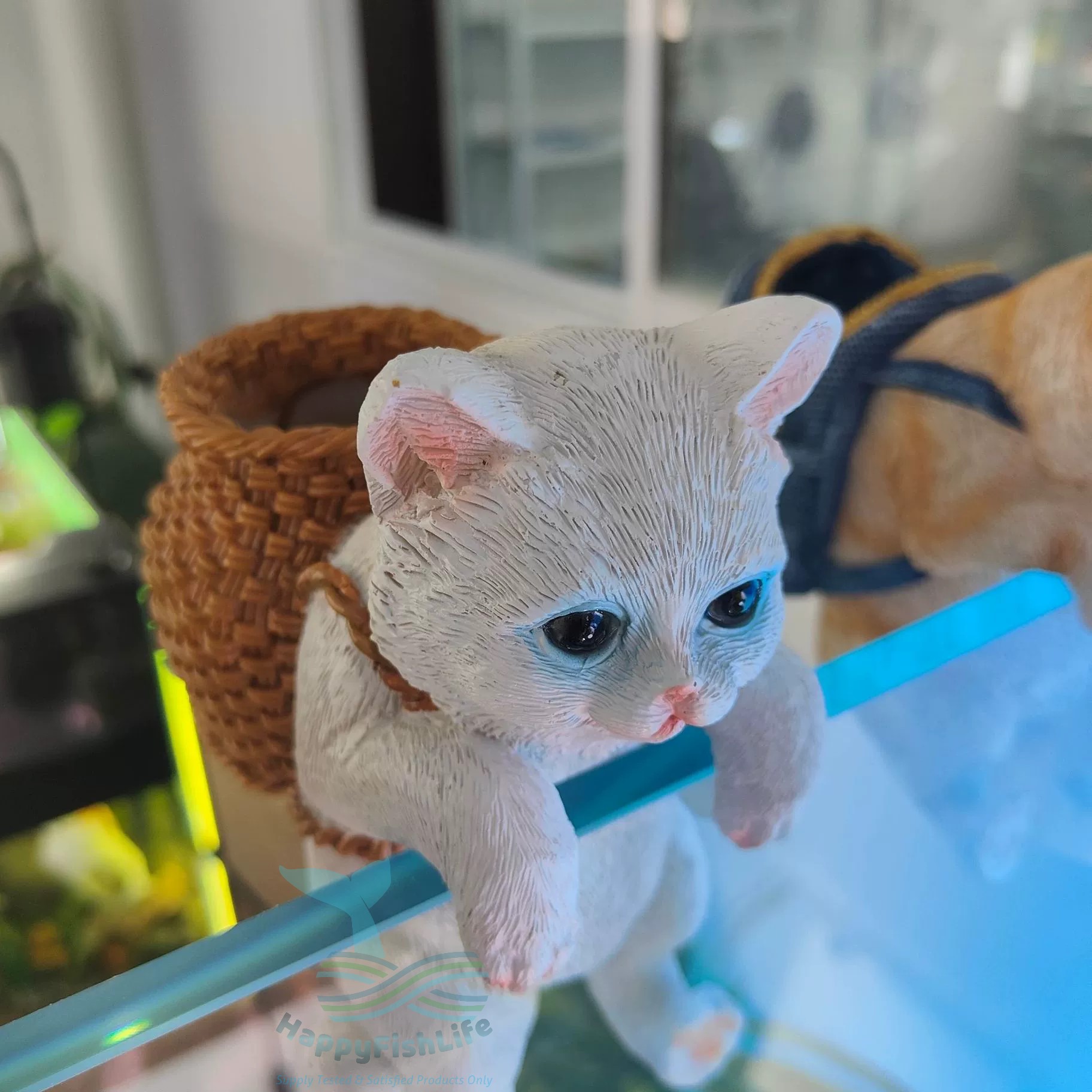 Aquarium Wall Hanger Decoration Cute Cat Dog Rabbit Koala with back pack Shark Warning Signboard - Image 4