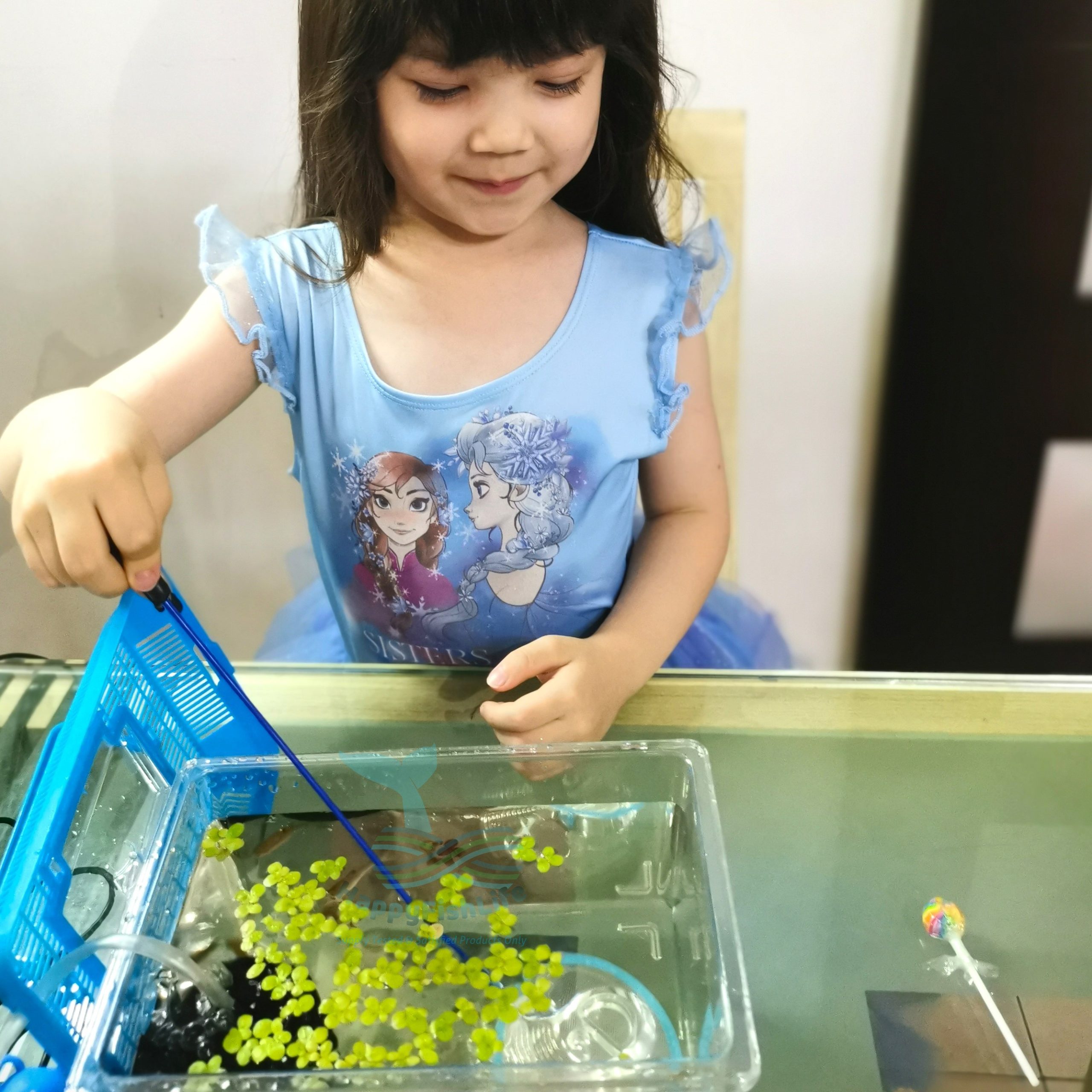 Plastic Tank Set Air Pump Sponge Filter Fish Net Dropper Portable Case Program Ajar Anak Jaga Ikan (PAAJI) HappyFishLife - Image 4