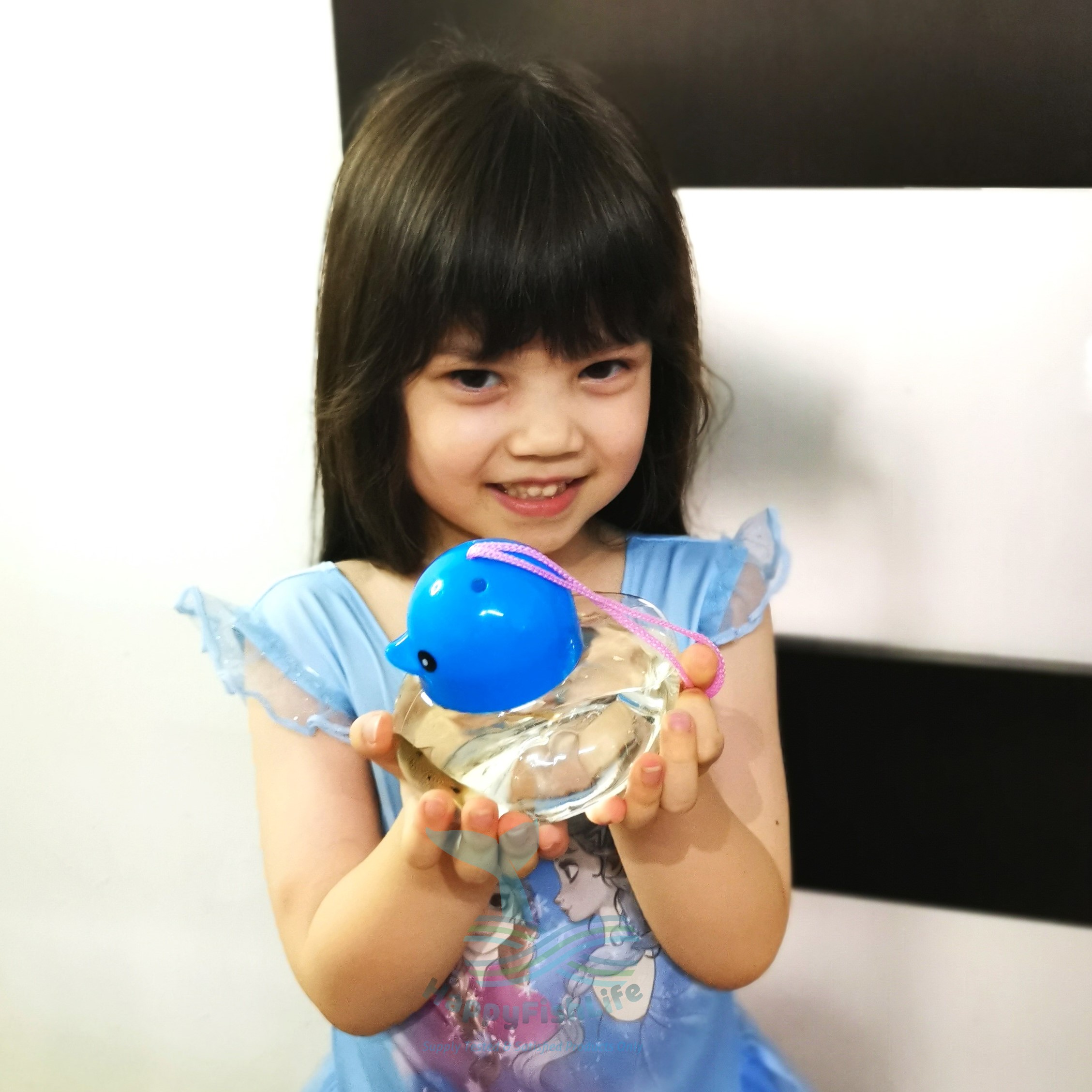 Plastic Tank Set Air Pump Sponge Filter Fish Net Dropper Portable Case Program Ajar Anak Jaga Ikan (PAAJI) HappyFishLife - Image 5