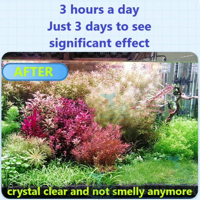 CHANING Aquarium Timer UV Light 5W Algae Remover Clear Water Light Pond Fish Tank Aquarium Submersible HappyFishLife - Image 5