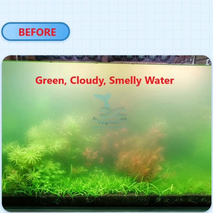 CHANING Aquarium Timer UV Light 5W Algae Remover Clear Water Light Pond Fish Tank Aquarium Submersible HappyFishLife - Image 4