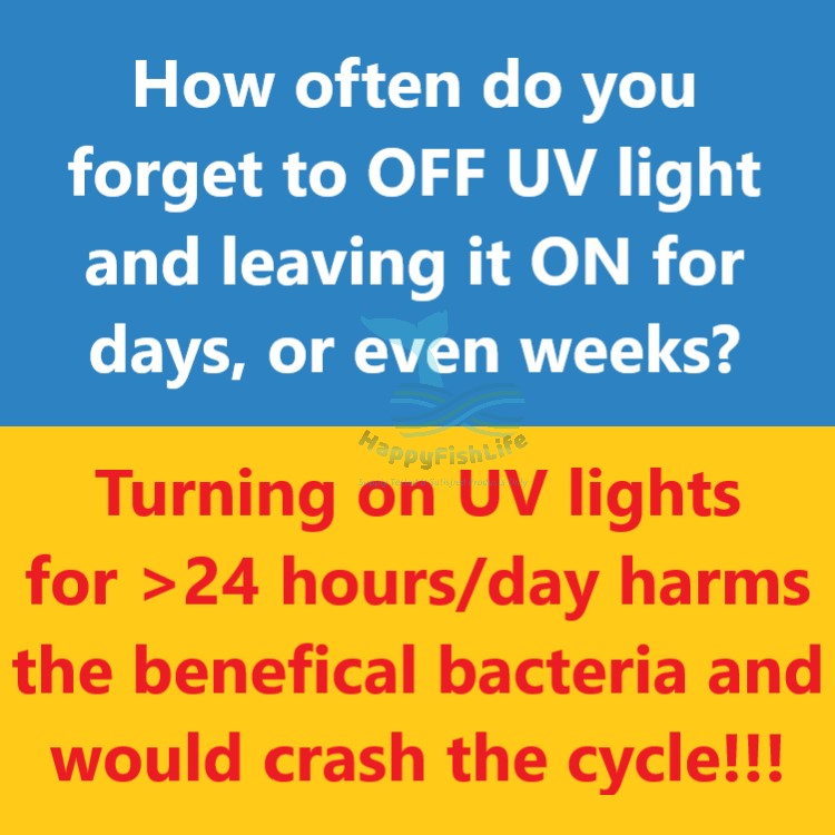 CHANING Aquarium Timer UV Light 5W Algae Remover Clear Water Light Pond Fish Tank Aquarium Submersible HappyFishLife - Image 9