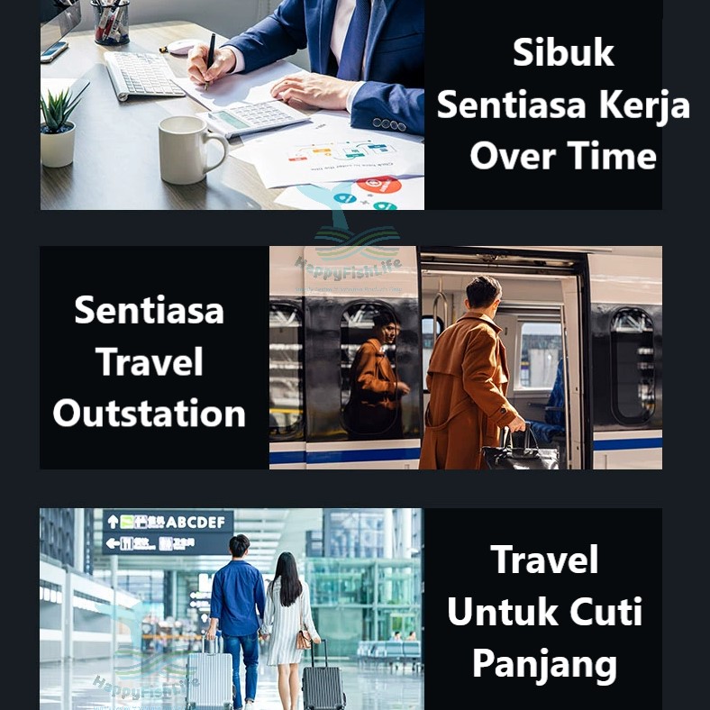 Automatic Fish Turtle Feeder Aquarium Smart Timing Auto Timer Food Feeding 3 modes 8/12/24 hours - Image 5