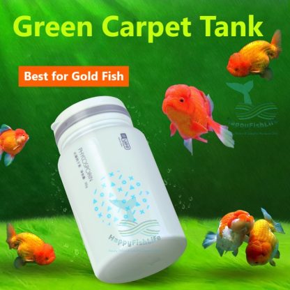 Green Carpet Hair Algae Seed Spore for Gold Fish Green Carpet Tank HappyFishLife