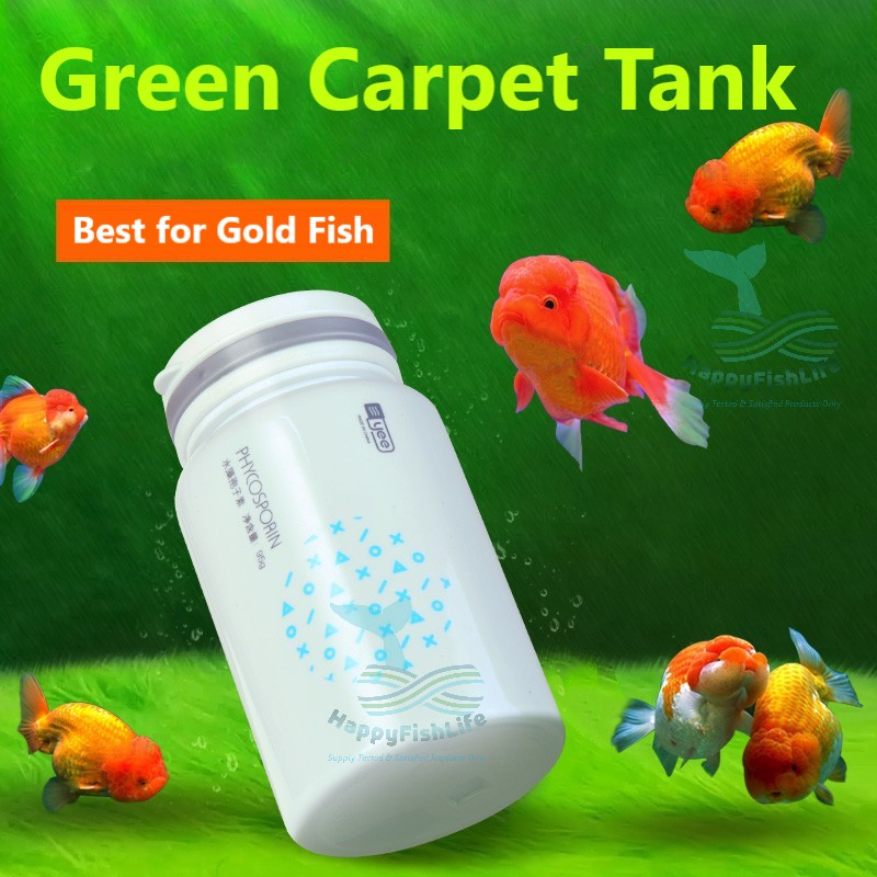 Green Carpet Hair Algae Seed Spore for Gold Fish Green Carpet Tank HappyFishLife