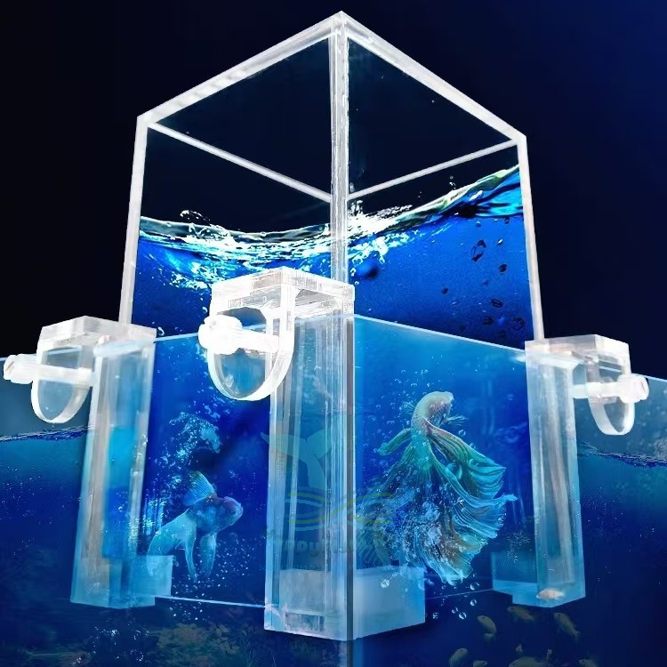 Negative Pressure Fish Elevator Tank 鱼缸负压缸 Akuarium Lif Ikan Tank Tekanan Negative Tank Terbalik Voonline HappyFishLife - Image 9