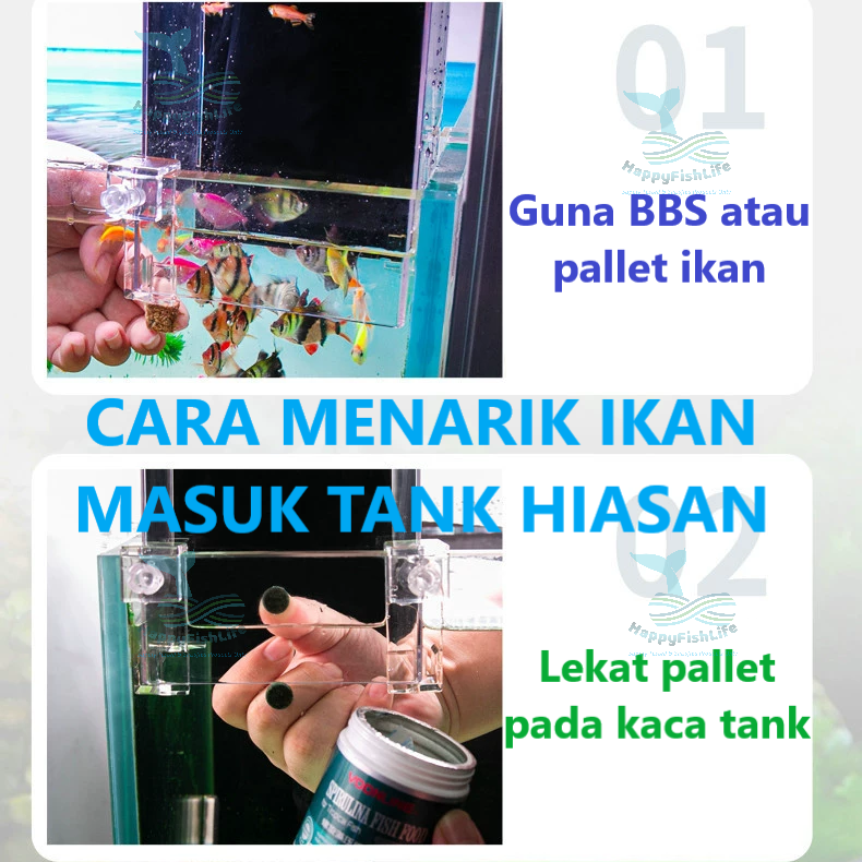 Negative Pressure Fish Elevator Tank 鱼缸负压缸 Akuarium Lif Ikan Tank Tekanan Negative Tank Terbalik Voonline HappyFishLife - Image 6