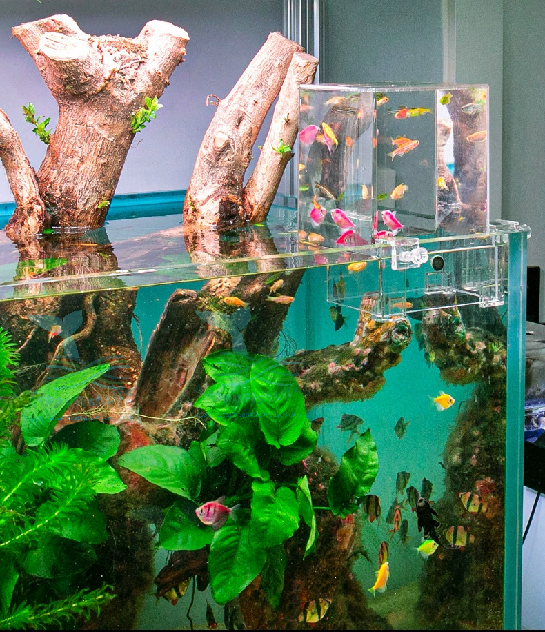 Negative Pressure Fish Elevator Tank 鱼缸负压缸 Akuarium Lif Ikan Tank Tekanan Negative Tank Terbalik Voonline HappyFishLife - Image 7