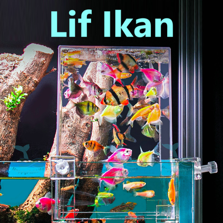 Negative Pressure Fish Elevator Tank 鱼缸负压缸 Akuarium Lif Ikan Tank Tekanan Negative Tank Terbalik Voonline HappyFishLife - Image 2