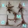 Aquascape Hardscape Root Wood Driftwood Spiderwood deco 杜鹃根 HappyFishLife - Image 5