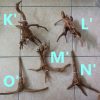 Aquascape Hardscape Root Wood Driftwood Spiderwood deco 杜鹃根 HappyFishLife - Image 6