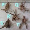 Aquascape Hardscape Root Wood Driftwood Spiderwood deco 杜鹃根 HappyFishLife - Image 8