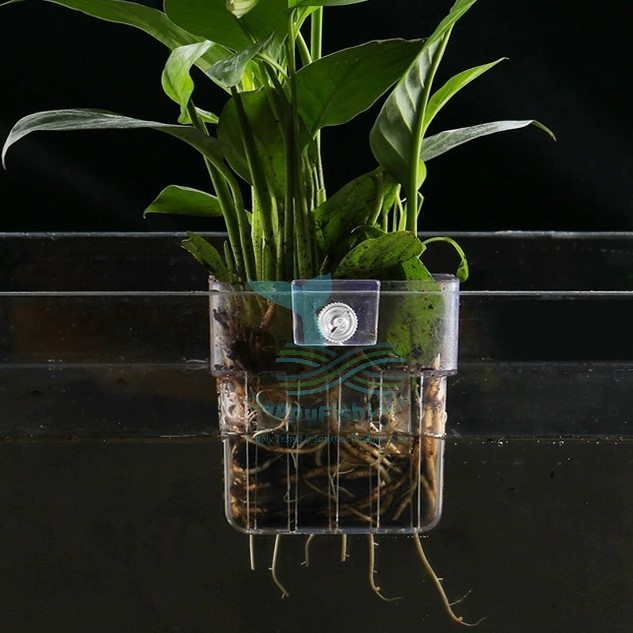 HappyFishLife Aquarium Plant Cup Hang On Back Pot Hydroponic Emersed Leaves Display - Image 6