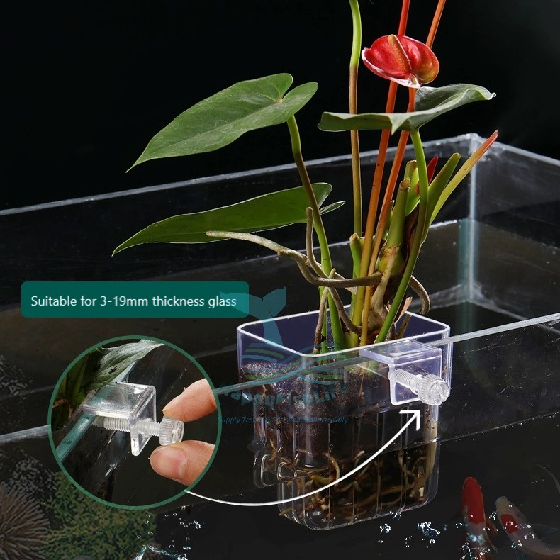 HappyFishLife Aquarium Plant Cup Hang On Back Pot Hydroponic Emersed Leaves Display - Image 7