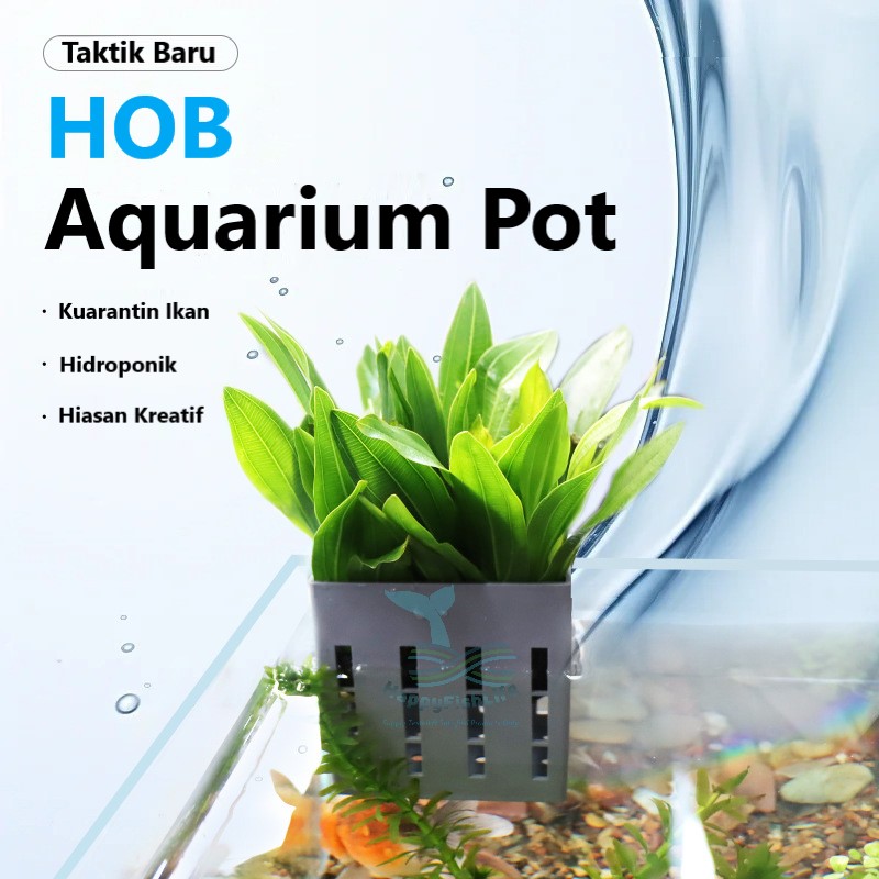 HappyFishLife Aquarium Plant Cup Hang On Back Pot Hydroponic Emersed Leaves Display - Image 4