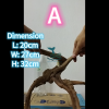 HappyFishLife Spiderwood Driftwood Hardscape Aquascape Kayu Hiasan Aquascape for 60cm 2ft tank