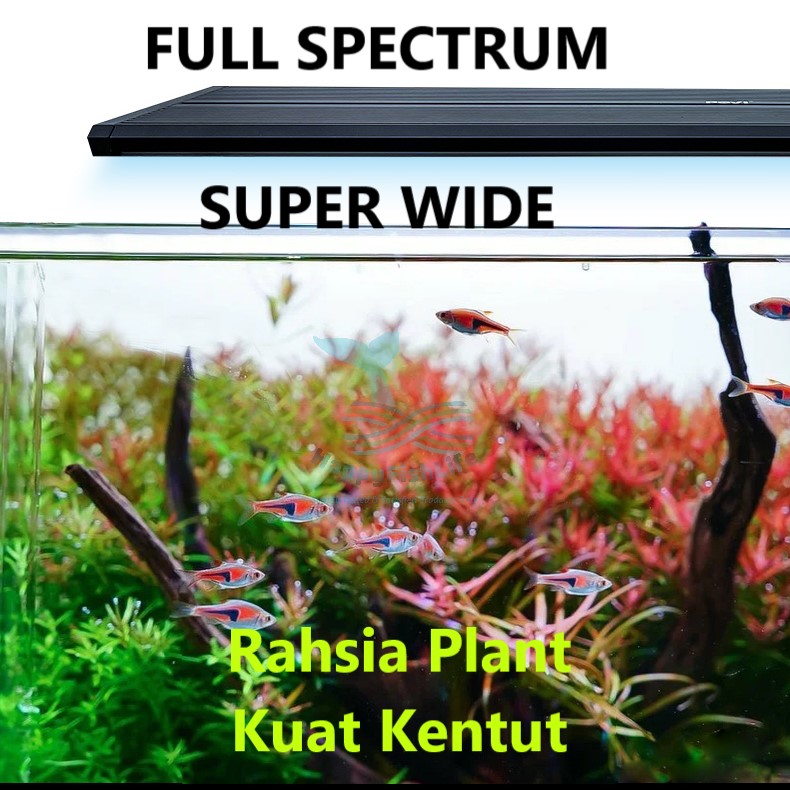 New Povi High Penetration Professional Full Spectrum Aquascape Aquarium WRGB LED Light HappyFishLife