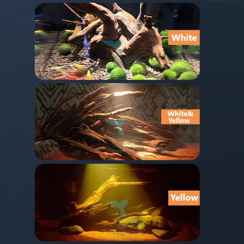 Happyfishlife Spotlight Three Modes COB LED Adjust Zoom Aquarium Light BlackWater Aquascape 原生缸鱼缸灯 - Image 3