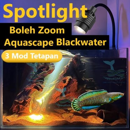 Happyfishlife Spotlight Three Modes COB LED Adjust Zoom Aquarium Light BlackWater Aquascape 原生缸鱼缸灯