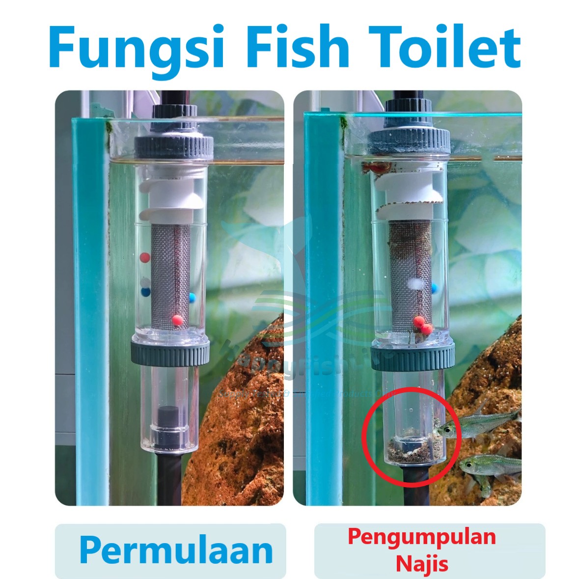 SunSun Hang On Back Water Fall Aquarium Filter Fish Toilet Fish Poop Segregation Pengasingan Najis - Image 3